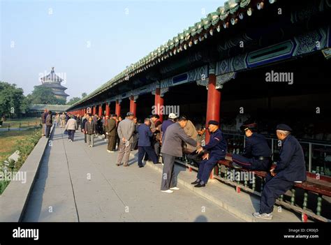 天壇公園可以玩多久？多角度解析游园体验与游玩時长的关联因素